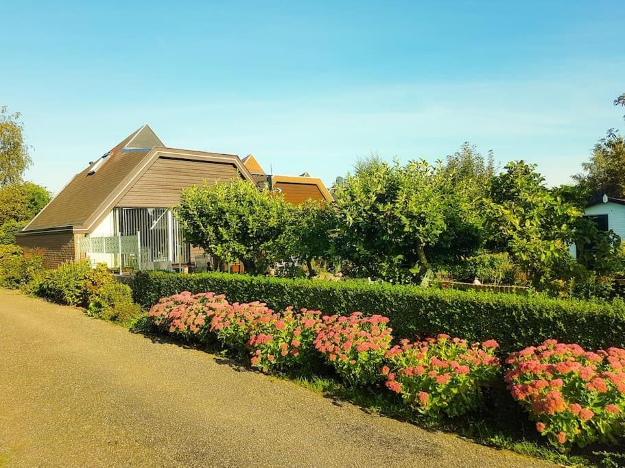 Lovely House Till 6 P. Near Amsterdam, Sea Leilighet Opmeer Eksteriør bilde